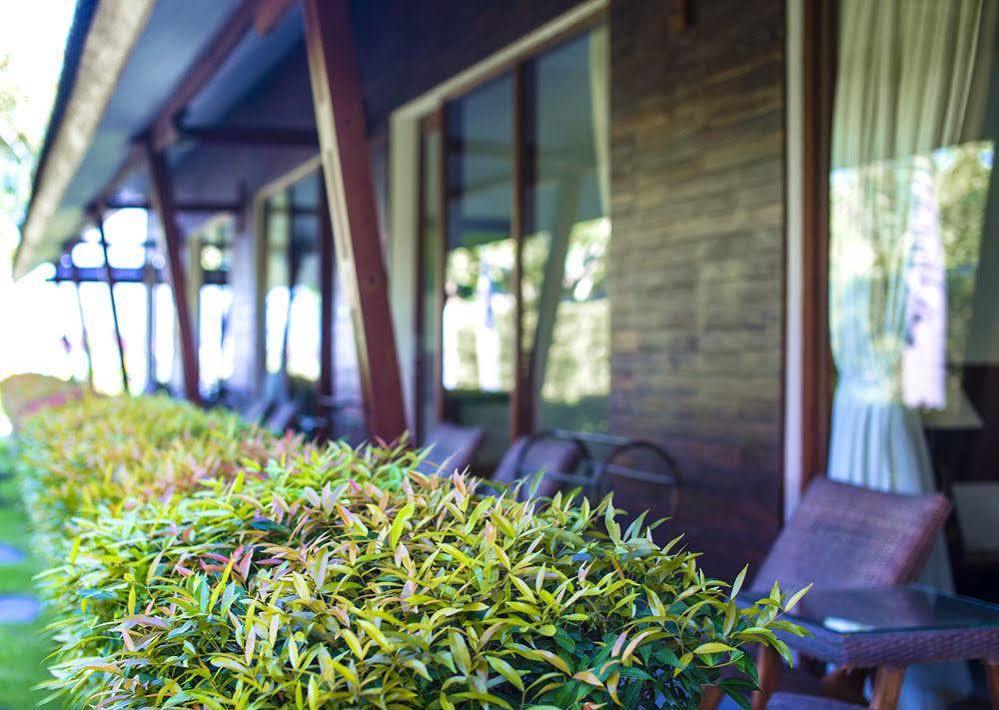 Big Brother Surf Inn Canggu Exteriér fotografie