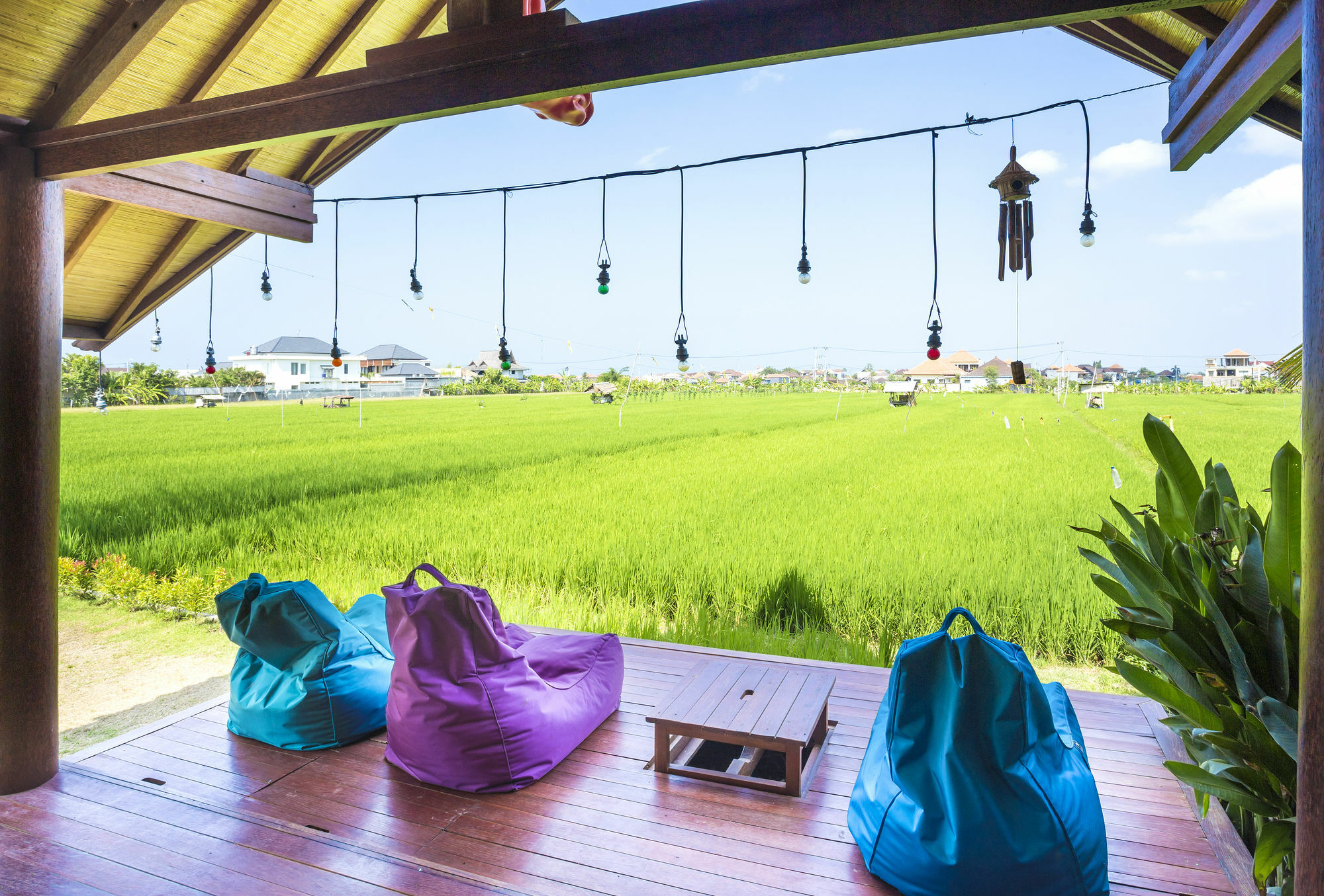 Big Brother Surf Inn Canggu Exteriér fotografie