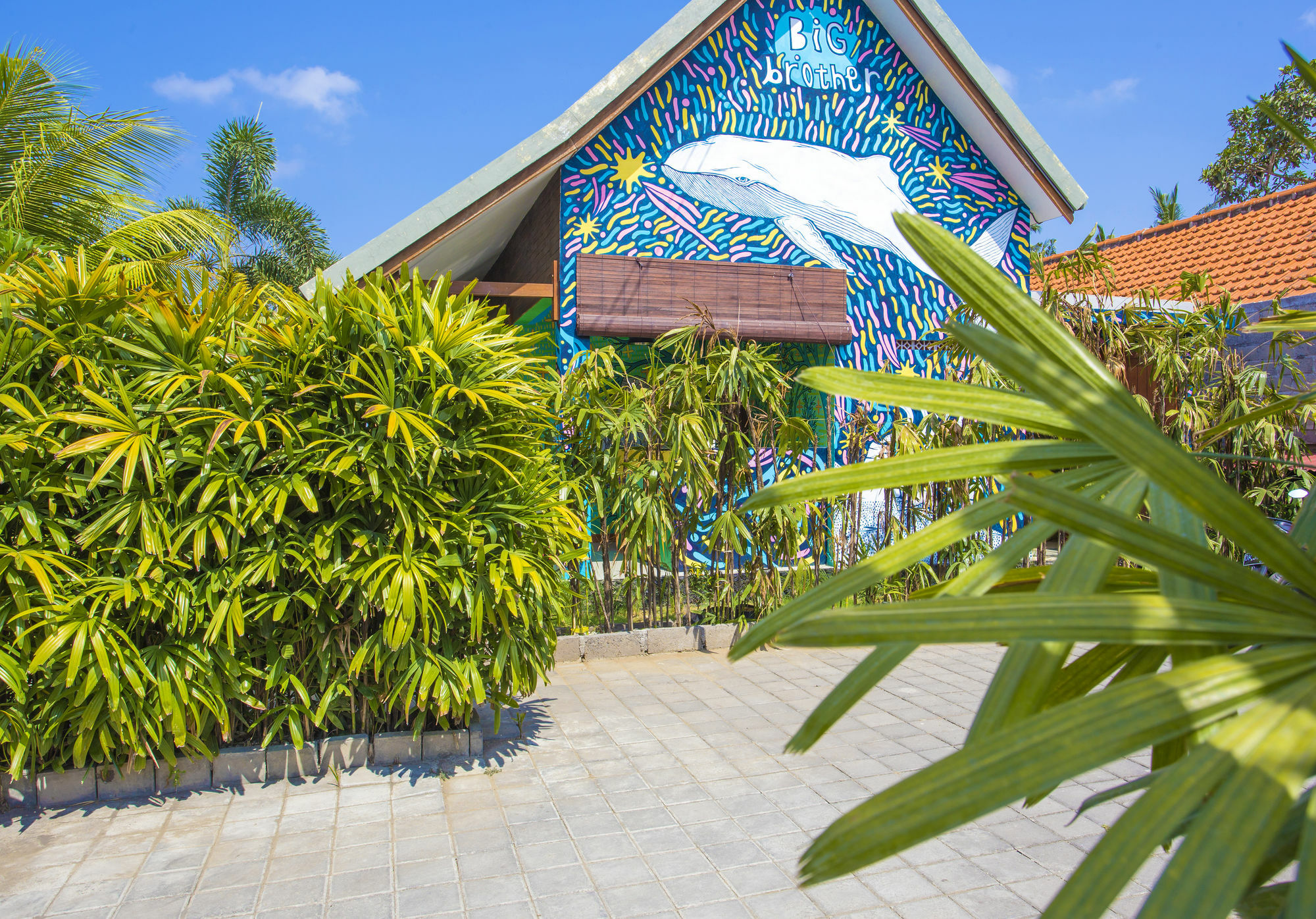 Big Brother Surf Inn Canggu Exteriér fotografie